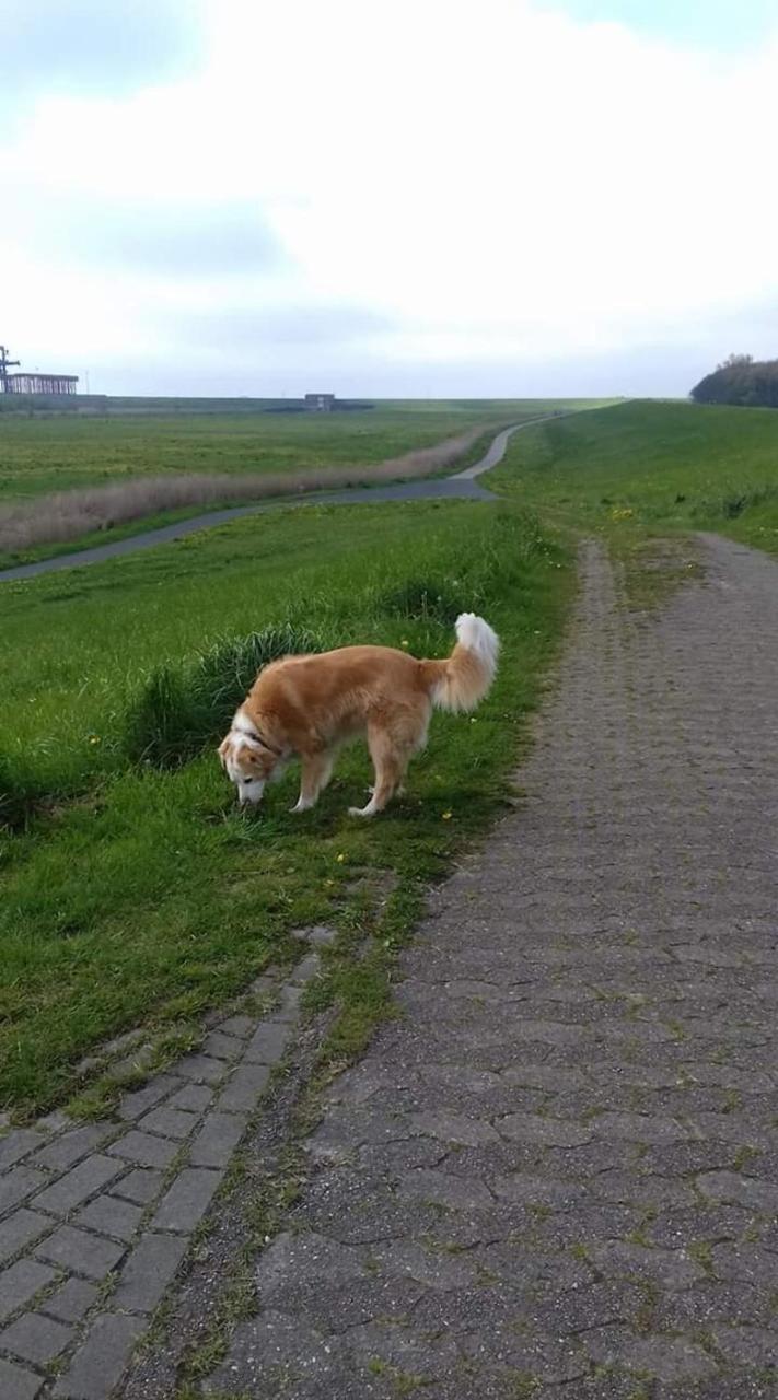 Fewo Kroker Bremerhaven Exteriör bild